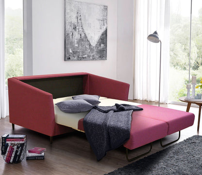 Erika Sleeper Sofa by Luonto