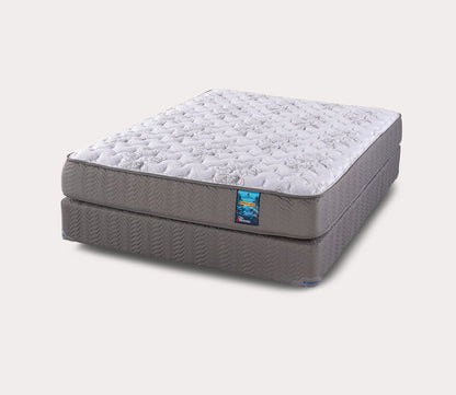 Everglades Firm Mattress by City Mattress