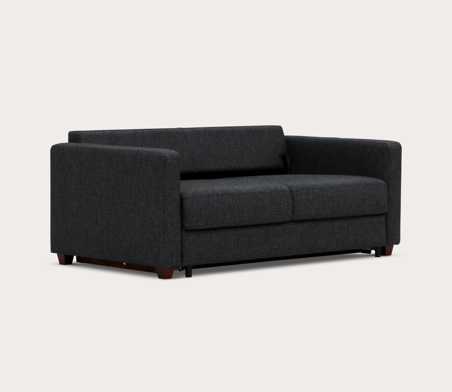 Fantasy 2 Sleeper Sofa by Luonto