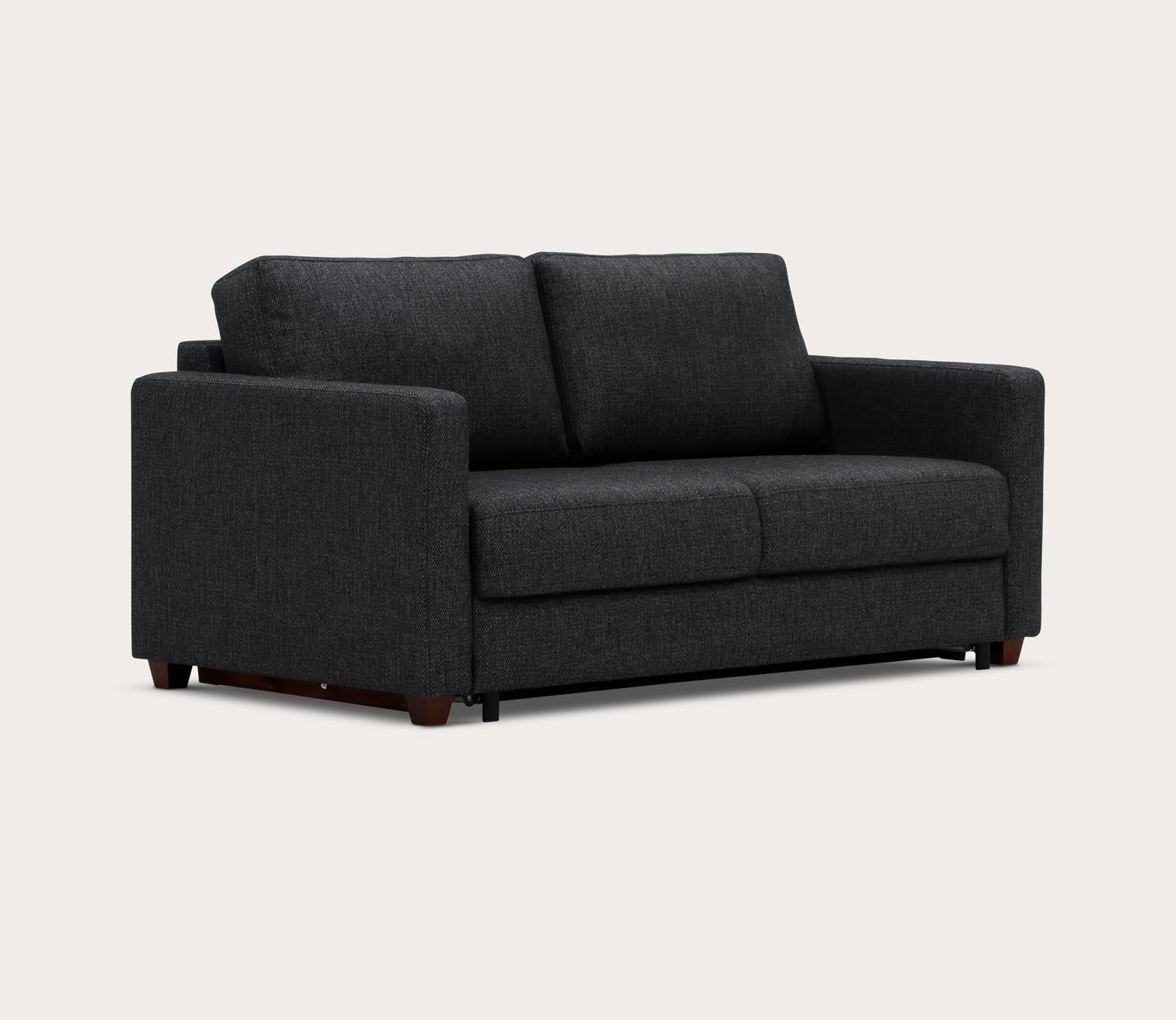 Fantasy 2 Sleeper Sofa by Luonto