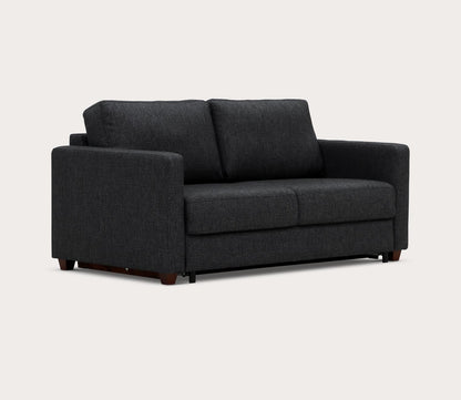 Fantasy 2 Sleeper Sofa by Luonto