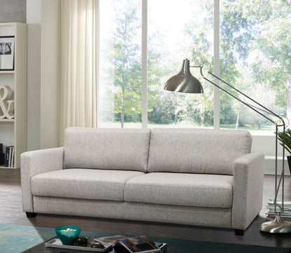 Fantasy Sleeper Sofa by Luonto