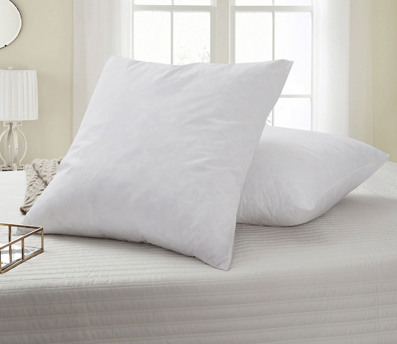 Feather Euro Square Pillow 2-Pack