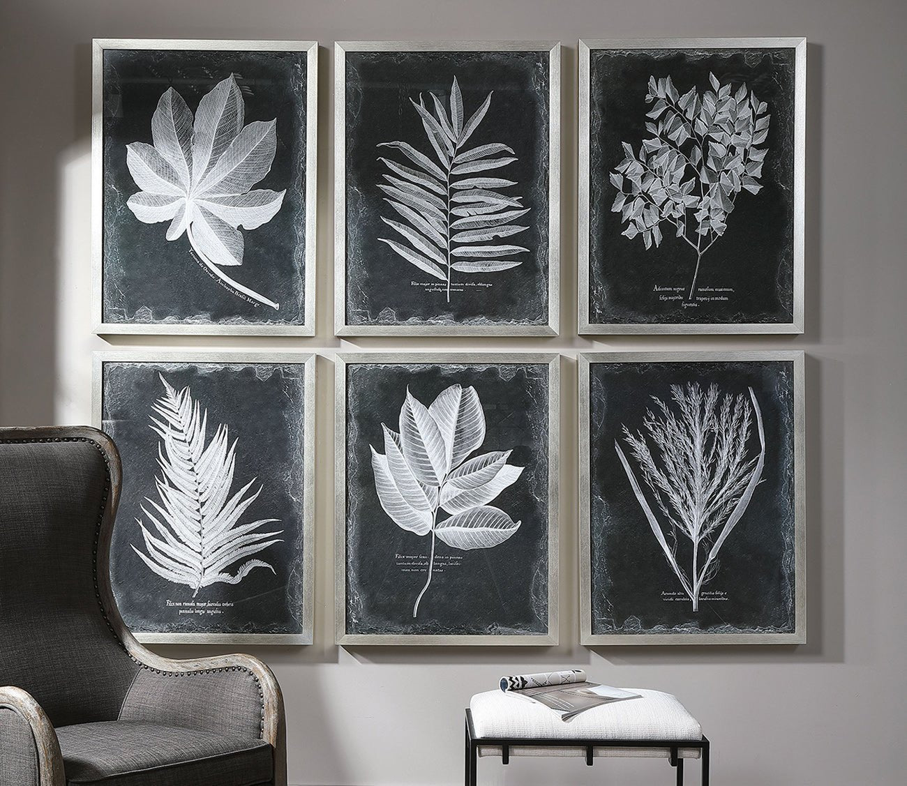Foliage Framed Prints Set of 6