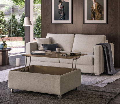 Functional Storage Coffee Table by Luonto