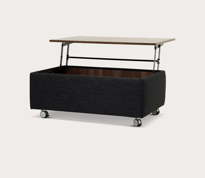 Functional Storage Coffee Table by Luonto