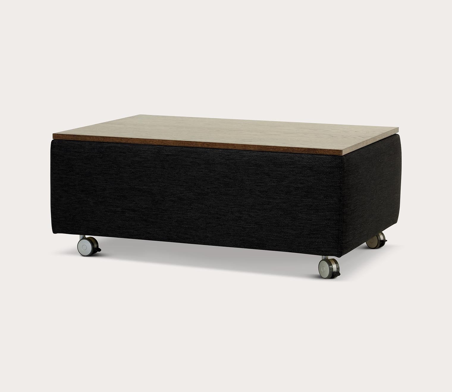 Functional Storage Coffee Table by Luonto