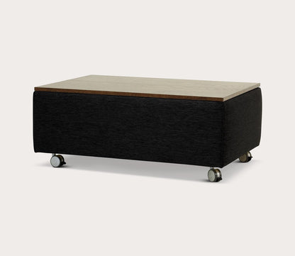 Functional Storage Coffee Table by Luonto