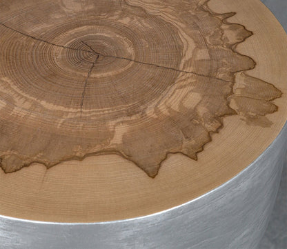 Gannett Silver Wood End Table by Uttermost