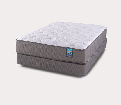 Grand Teton Plush Mattress by City Mattress