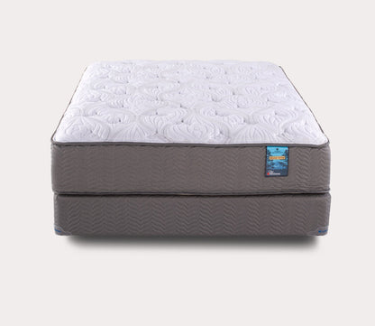 Grand Teton Plush Mattress by City Mattress