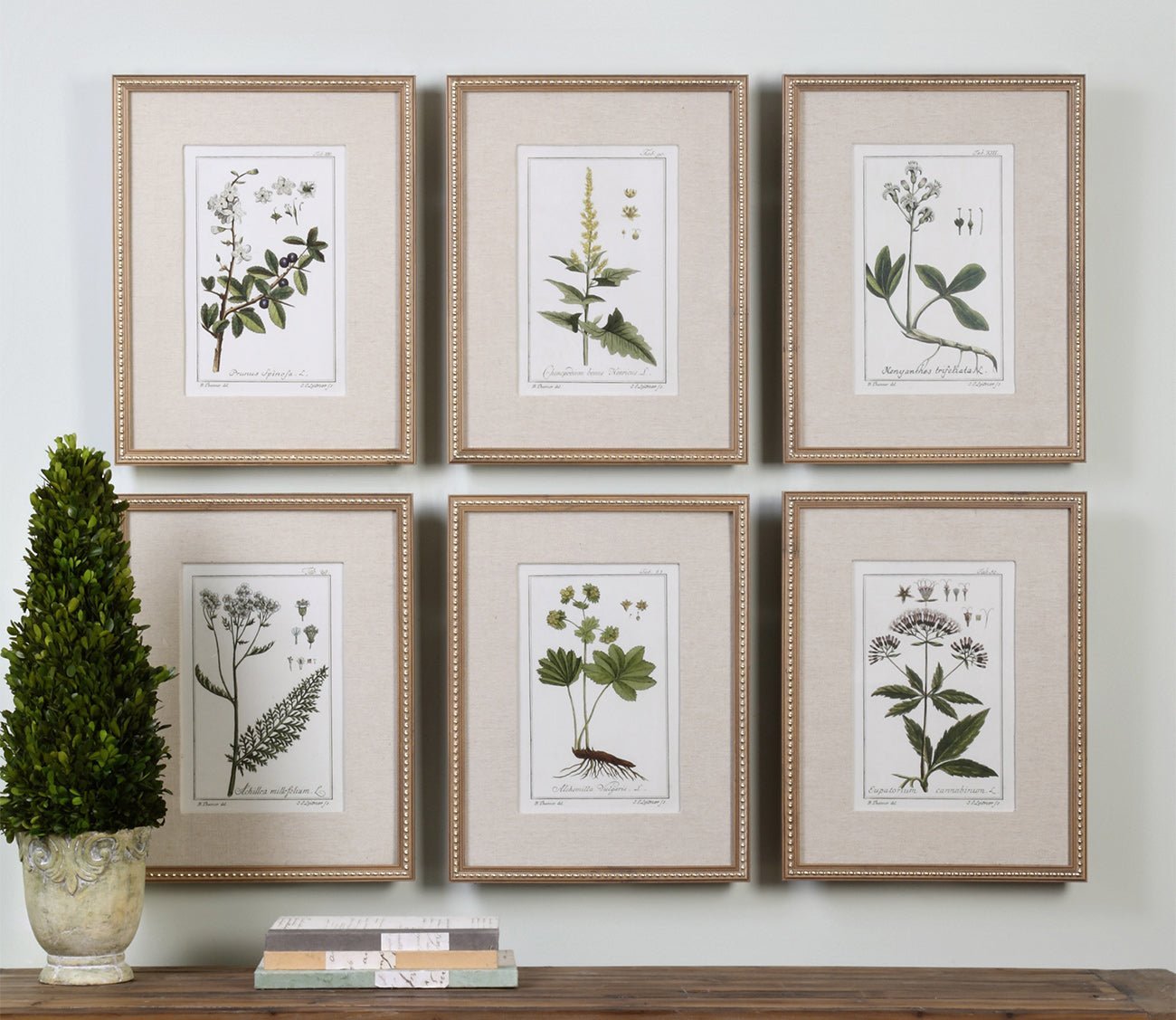 Green Floral Botanical Prints Set of 6