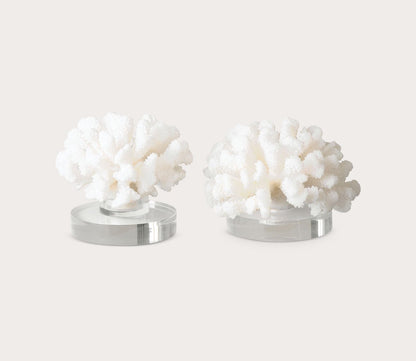 Hard Coral Sculptures Set of 2 by Uttermost