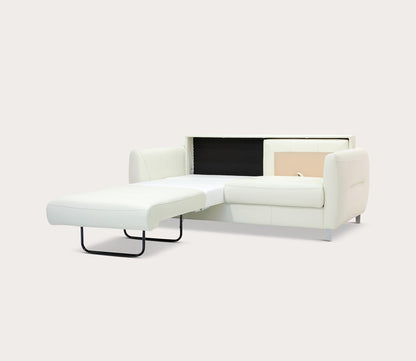 Jamie Queen Loveseat Sleeper by Luonto