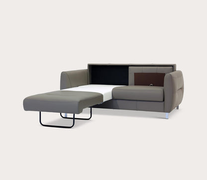 Jamie Queen Loveseat Sleeper by Luonto
