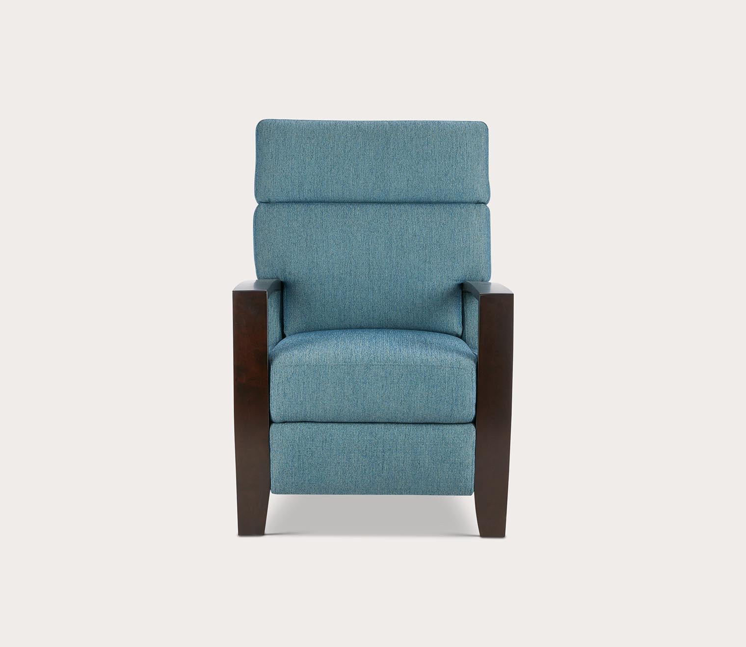 Katniss Push Back Recliner Chair by Madison Park