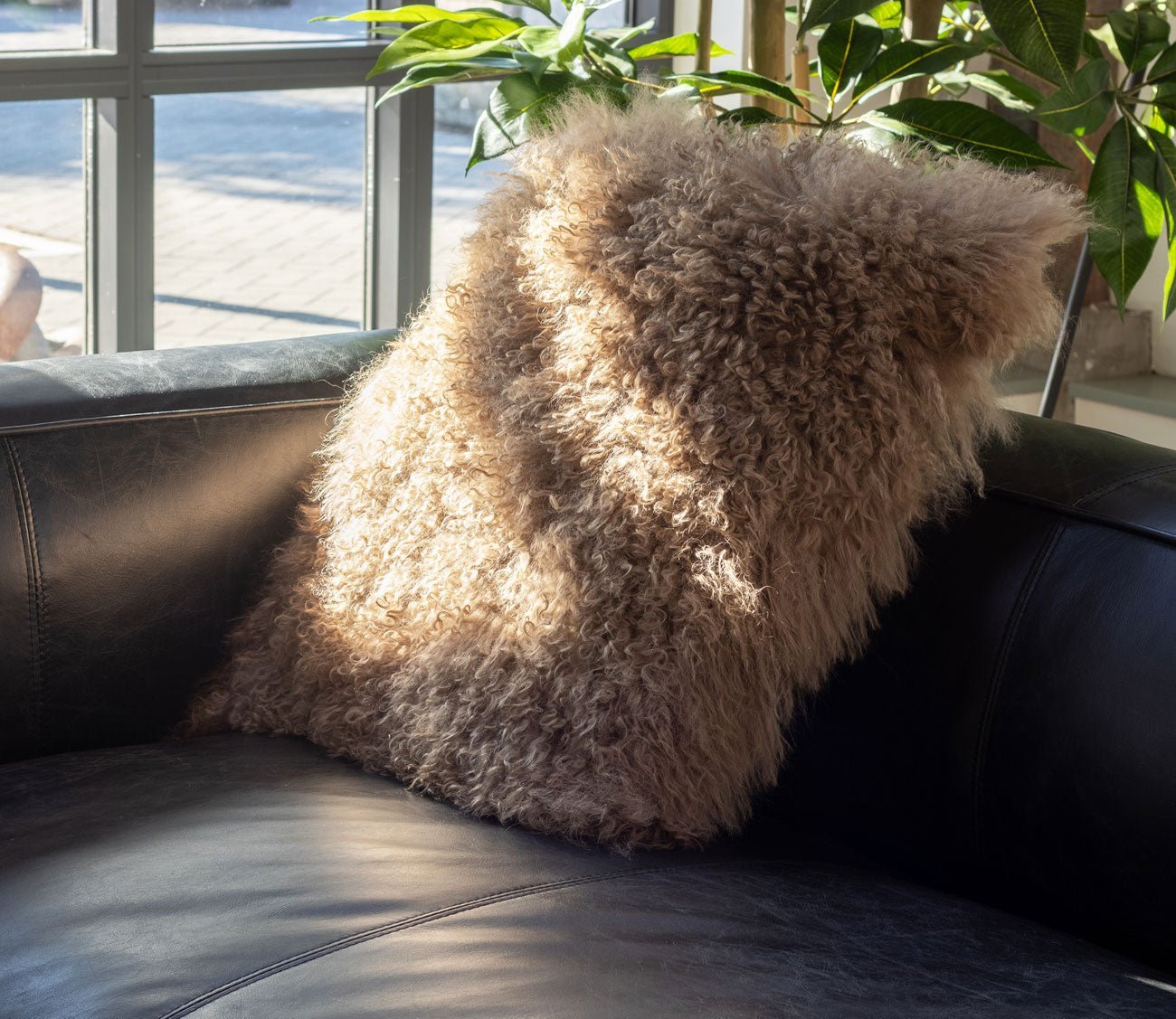 Lamb Fur Square Throw Pillow by Moe's Furniture