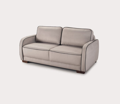 Leon 2 Loveseat Sleeper Sofa by Luonto