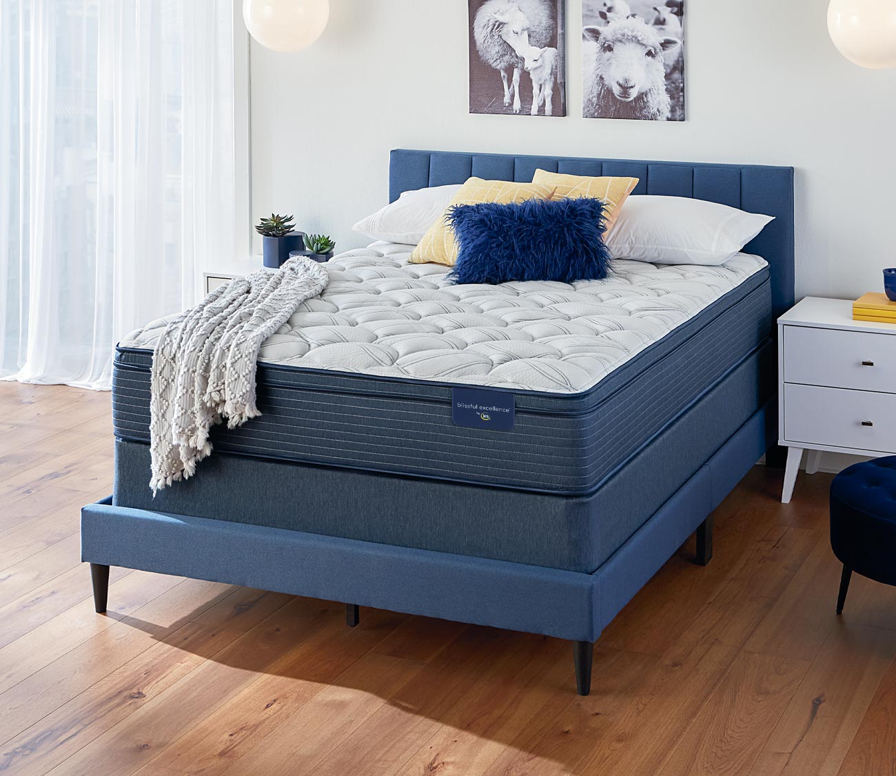 Meadow Brook Euro Top Mattress by Serta