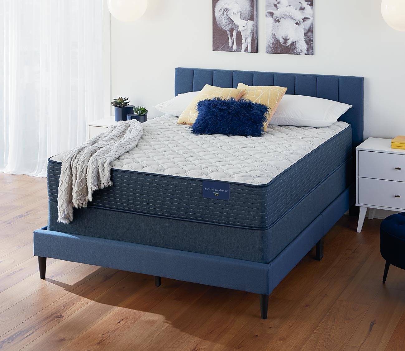 Meadow Brook Firm Mattress by Serta