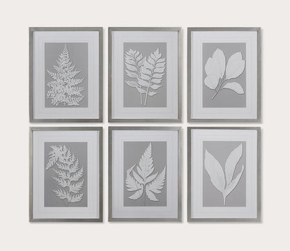 Moonlight Ferns Framed Prints Set of 6 by Uttermost