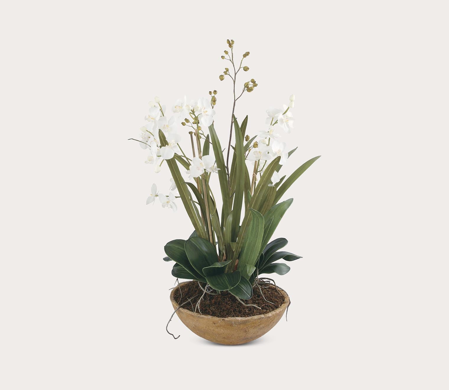 Moth Orchid Planter by Uttermost