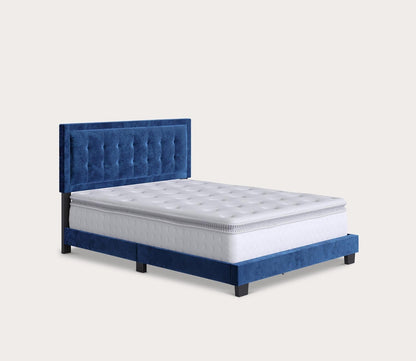 Patterson Tufted Velvet Upholstered Platform Bed by Arkotec