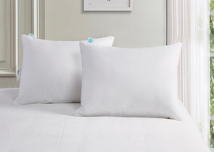 Poly Around Feather and Down Pillow 2-Pack by Martha Stewart
