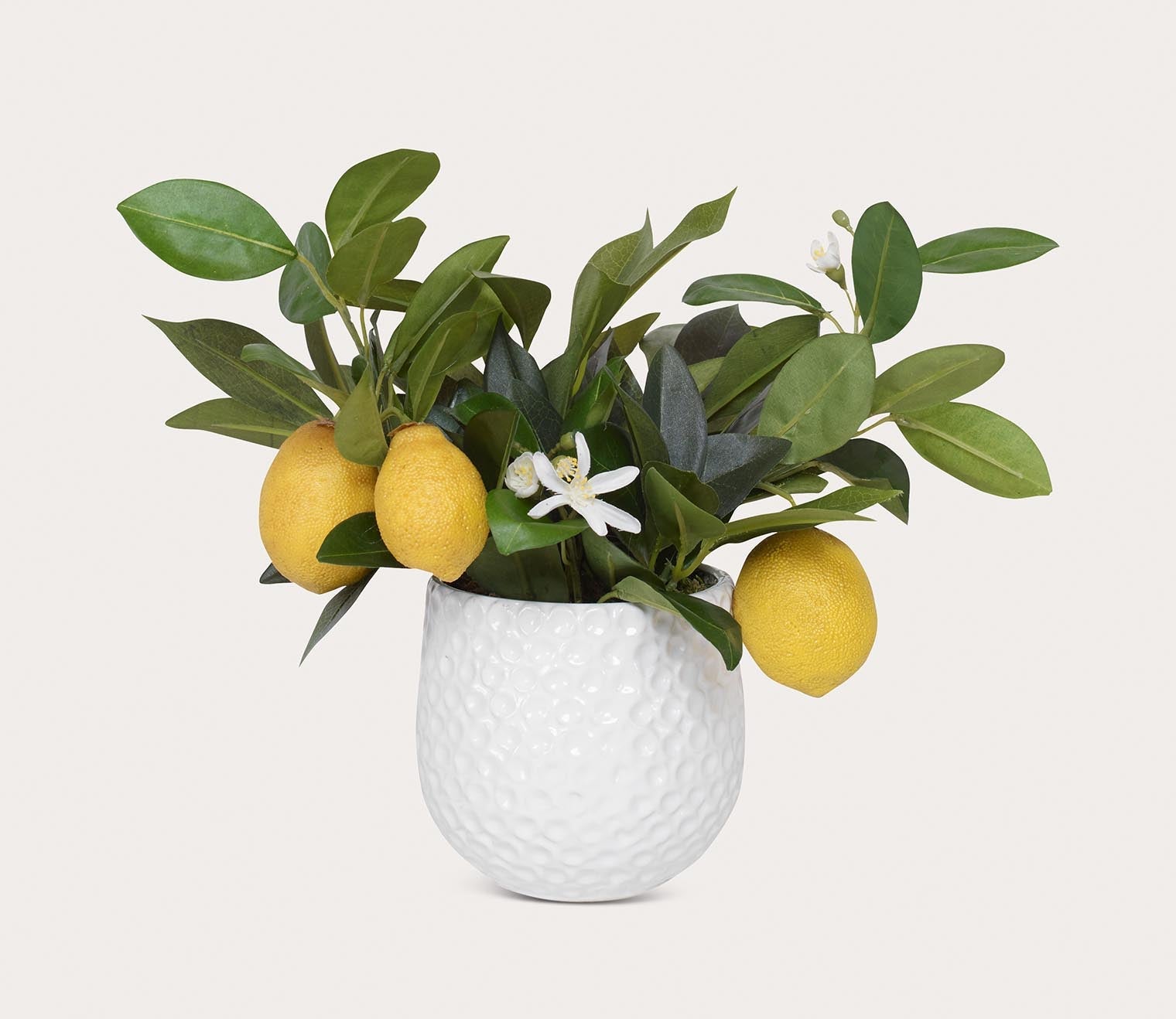 Positano Lemon Accent by Uttermost