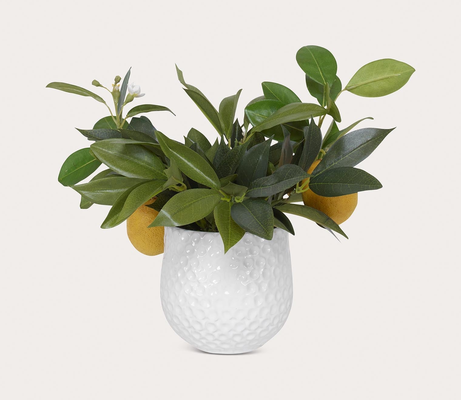 Positano Lemon Accent by Uttermost