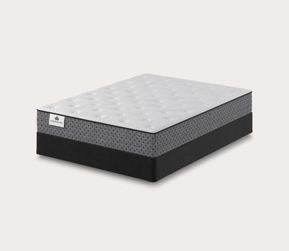 Positivity Plush Mattress by Kingsdown