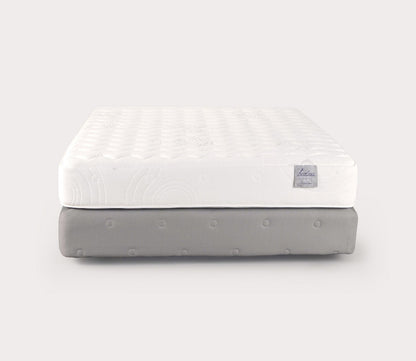 PranaSleep Lotus Asana 6.1 Firm Mattress by PranaSleep