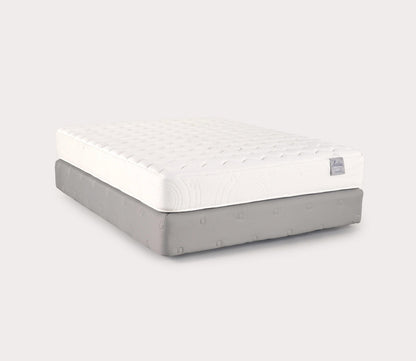 PranaSleep Lotus Asana 6.1 Firm Mattress by PranaSleep