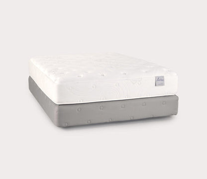 PranaSleep Lotus Asana 6.2 Plush Mattress by PranaSleep