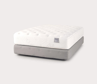 PranaSleep Lotus Asana 6.3 Super Plush Mattress by PranaSleep