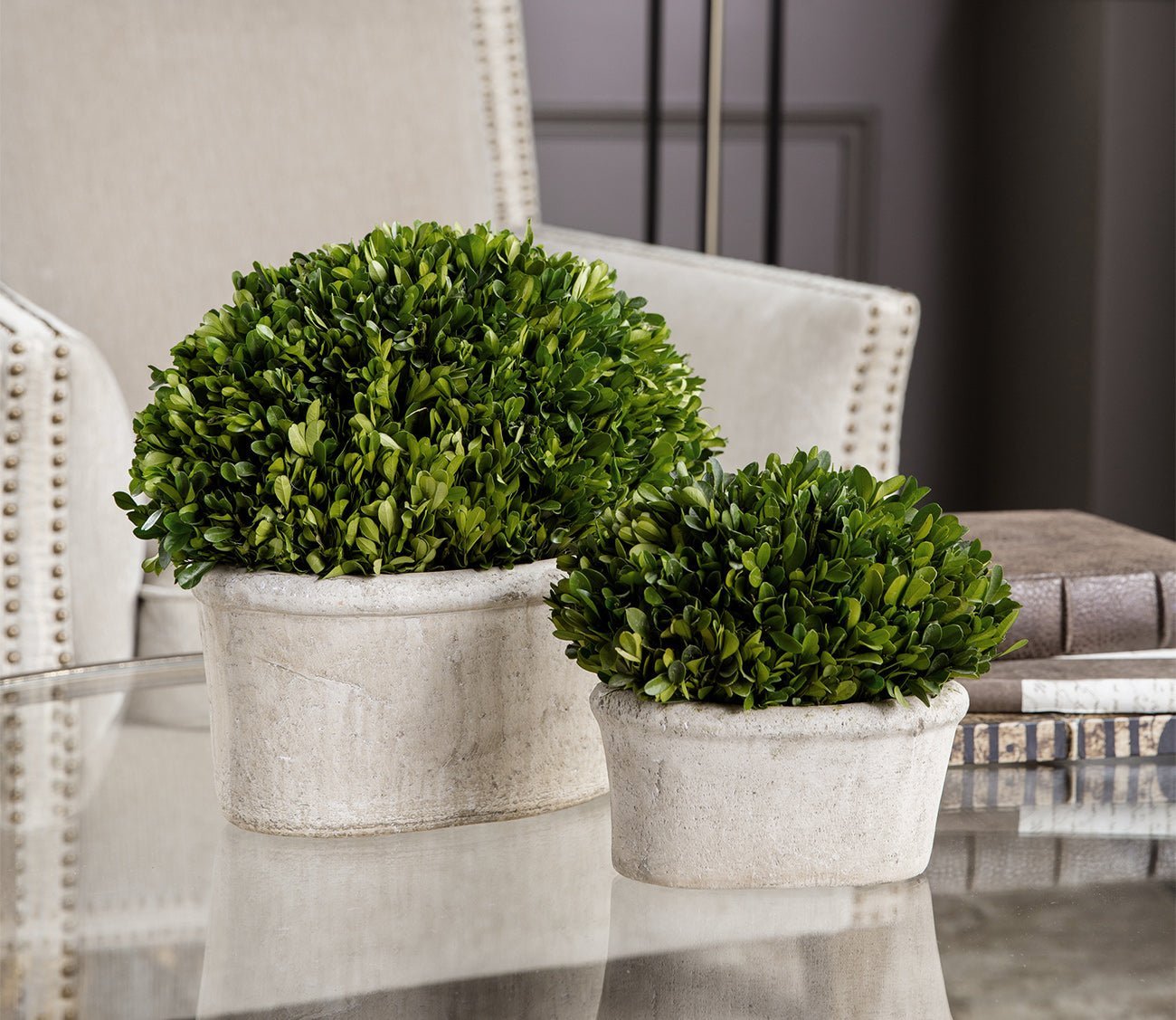 Preserved Boxwood Oval Domes Set of 2