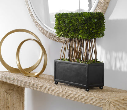 Preserved Boxwood Rectangular Topiary by Uttermost
