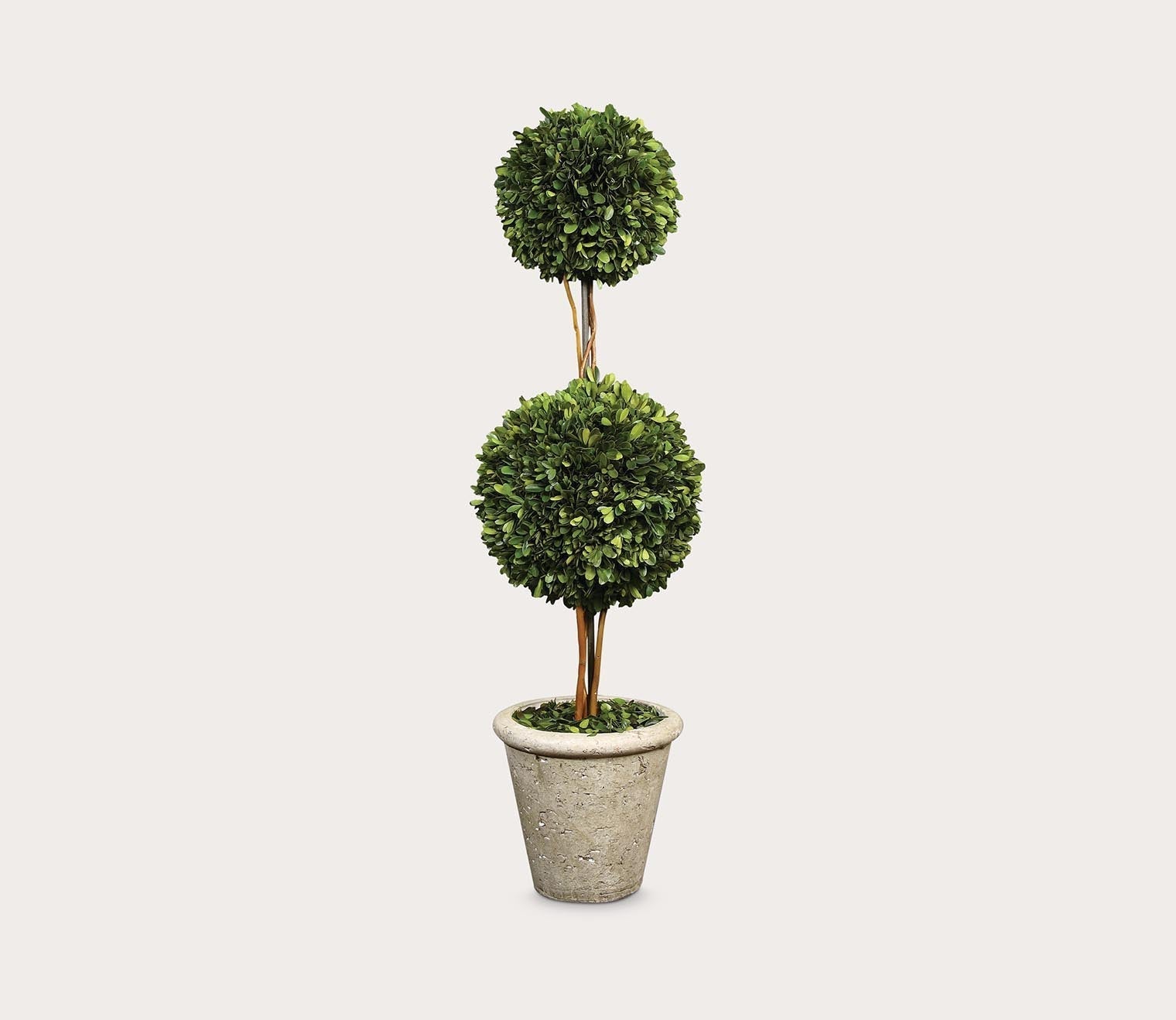 Preserved Boxwood Two Sphere Topiary