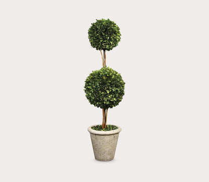 Preserved Boxwood Two Sphere Topiary by Uttermost