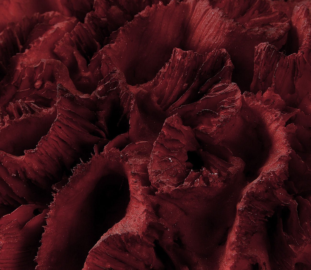 Red Coral Cluster Sculpture by Uttermost