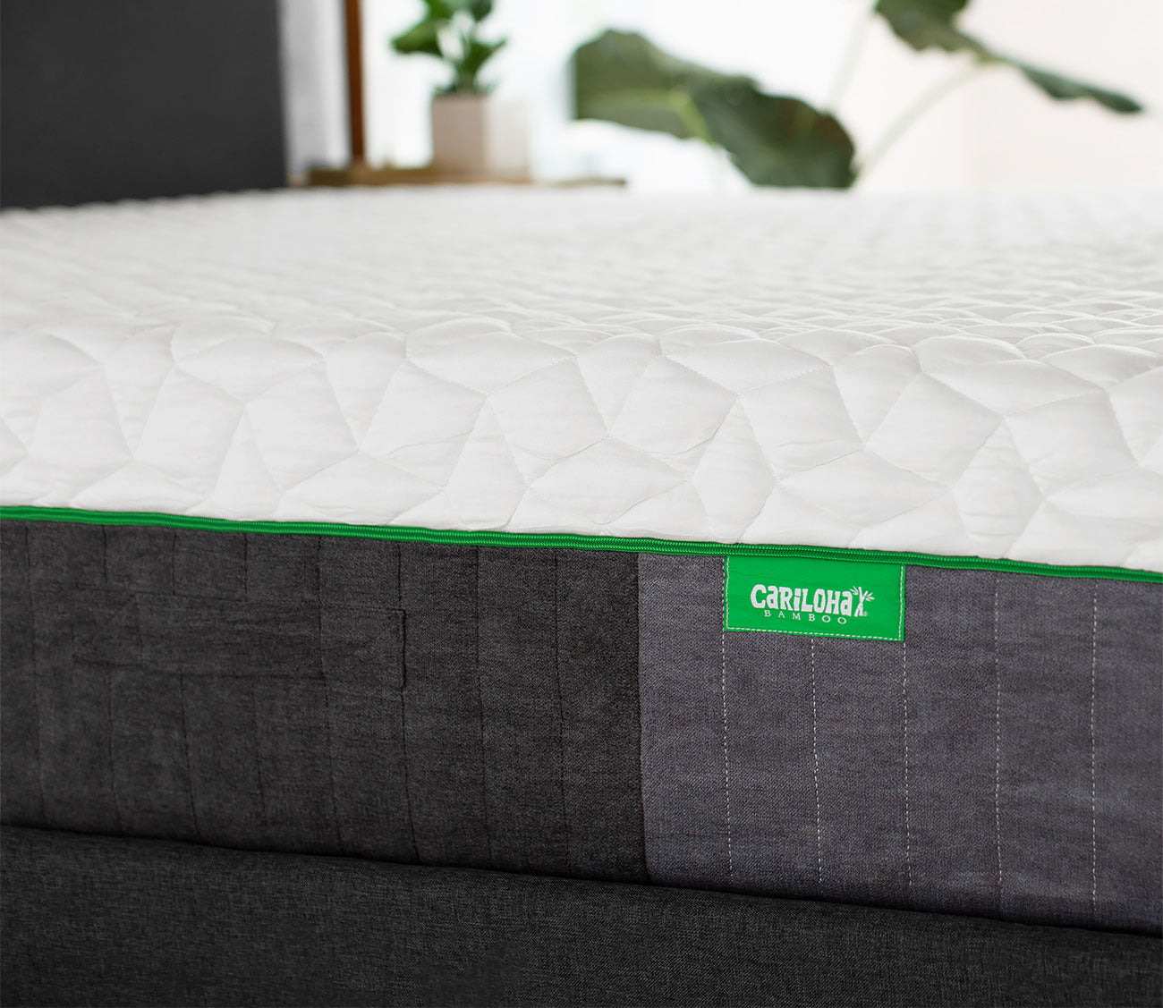 Resort Bamboo Mattress by Cariloha