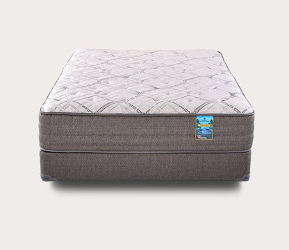 Saguaro Plush/Firm Mattress by City Mattress