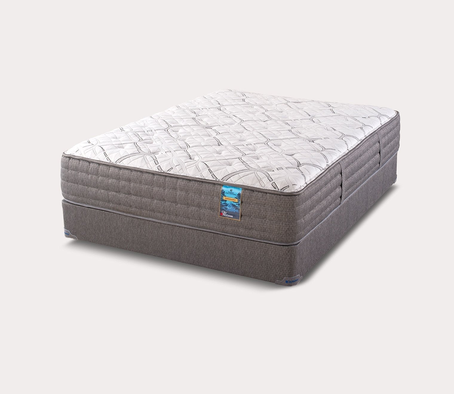 Saguaro Plush/Firm Mattress by City Mattress