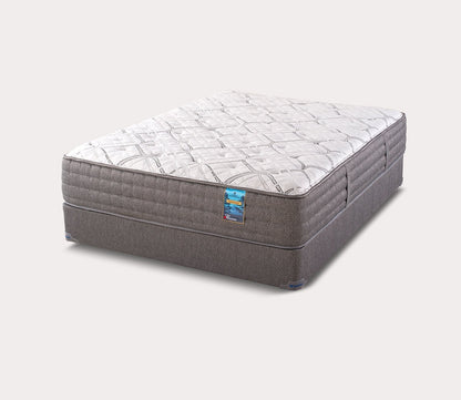 Saguaro Plush/Firm Mattress by City Mattress