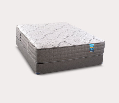 Saguaro Plush/Firm Mattress by City Mattress