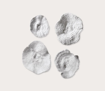 Sea Coral Wall Art Set of 4 by Uttermost