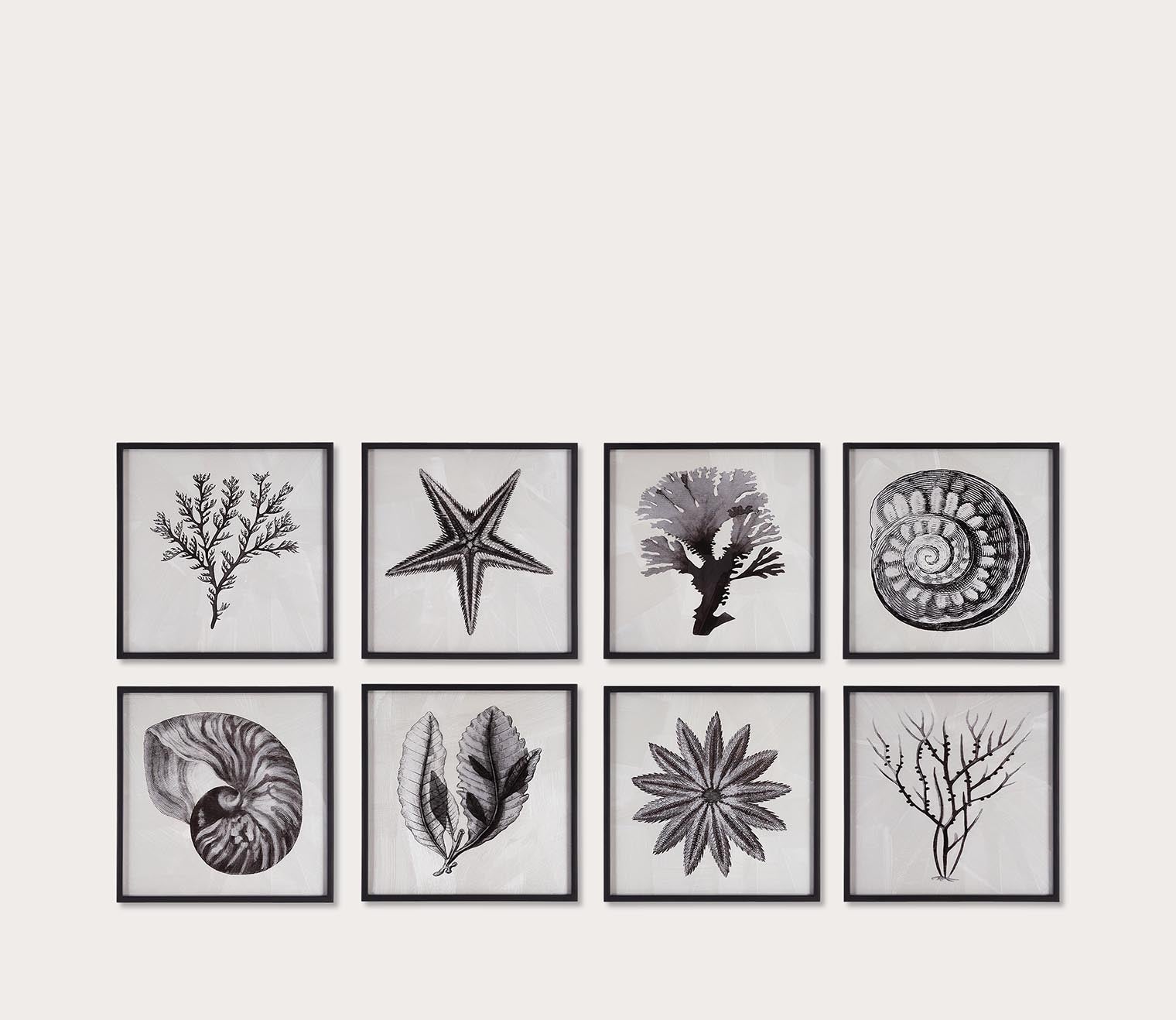 Sea Living Framed Prints Set of 8 by Uttermost