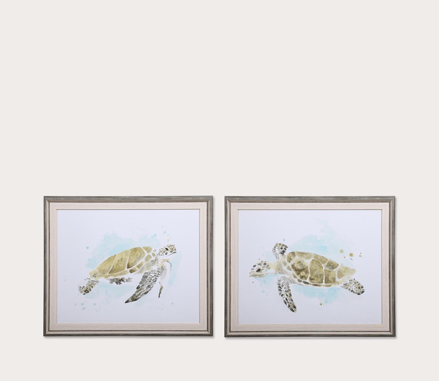 Sea Turtle Study Framed Prints Set of 2 by Uttermost