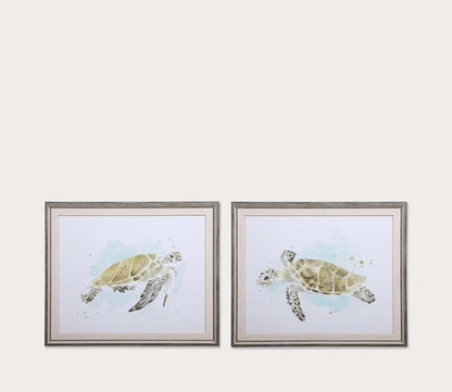 Sea Turtle Study Framed Prints Set of 2 by Uttermost