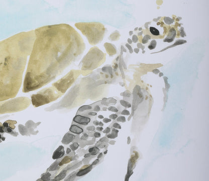 Sea Turtle Study Framed Prints Set of 2 by Uttermost